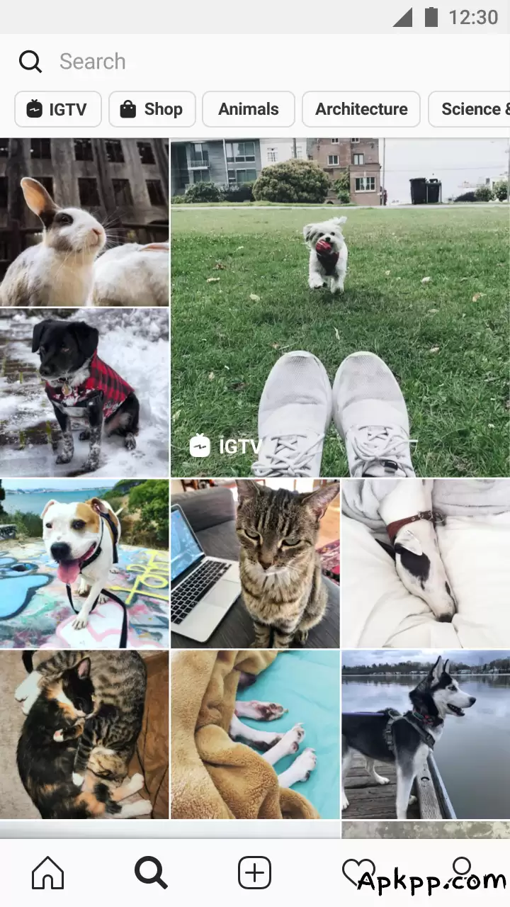 تحميل Instagram apk