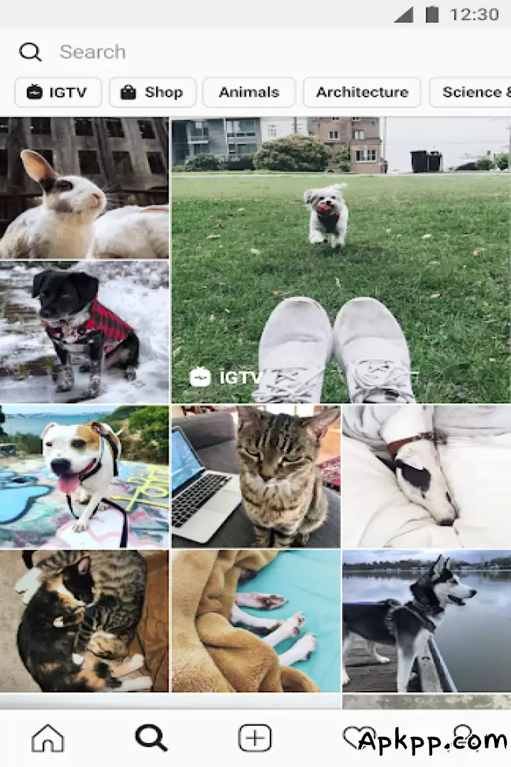 تحميل Instagram Plus apk